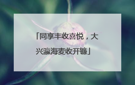 同享丰收喜悦，大兴瀛海麦收开镰