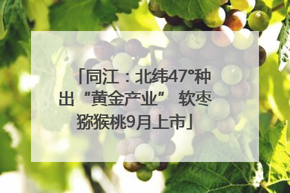 同江：北纬47°种出“黄金产业” 软枣猕猴桃9月上市