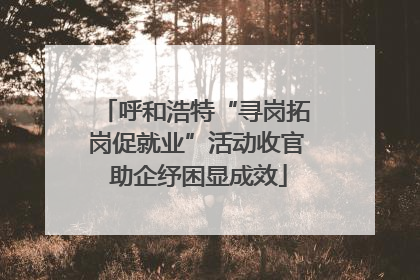 呼和浩特“寻岗拓岗促就业”活动收官 助企纾困显成效