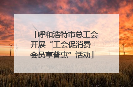 呼和浩特市总工会开展“工会促消费 会员享普惠”活动