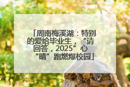 周南梅溪湖：特别的爱给毕业生，“请回答，2025”心“晴”跑燃爆校园
