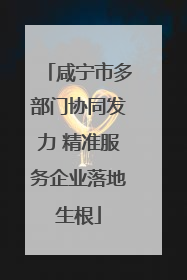 咸宁市多部门协同发力 精准服务企业落地生根