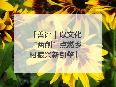 善评｜以文化“两创”点燃乡村振兴新引擎