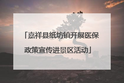 嘉祥县纸坊镇开展医保政策宣传进景区活动