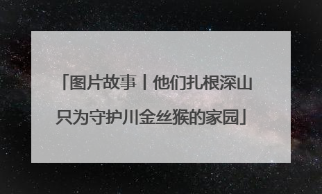 图片故事丨他们扎根深山 只为守护川金丝猴的家园