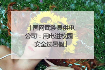 国网武陟县供电公司：用电进校园  安全过暑假