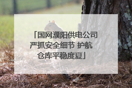 国网濮阳供电公司严抓安全细节 护航仓库平稳度夏