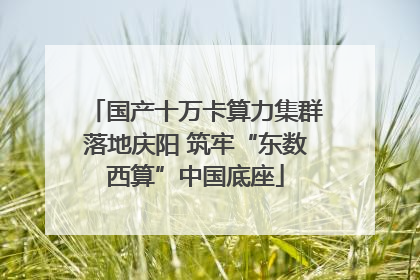 国产十万卡算力集群落地庆阳 筑牢“东数西算”中国底座