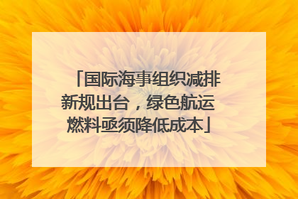 国际海事组织减排新规出台，绿色航运燃料亟须降低成本
