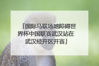 国际马联场地障碍世界杯中国联赛武汉站在武汉经开区开赛