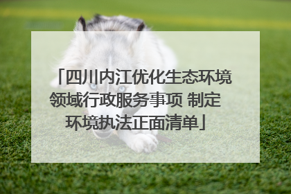 四川内江优化生态环境领域行政服务事项 制定环境执法正面清单