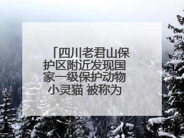四川老君山保护区附近发现国家一级保护动物小灵猫 被称为“生态试纸”
