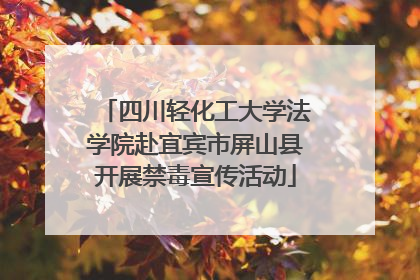 四川轻化工大学法学院赴宜宾市屏山县开展禁毒宣传活动