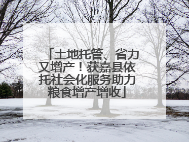 土地托管、省力又增产！获嘉县依托社会化服务助力粮食增产增收