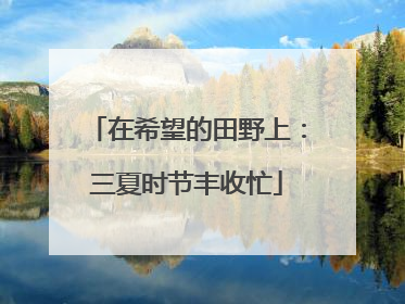 在希望的田野上：三夏时节丰收忙