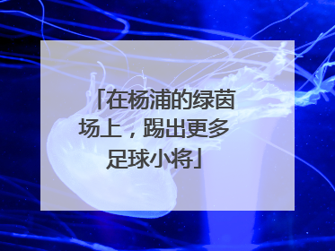 在杨浦的绿茵场上，踢出更多足球小将