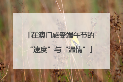 在澳门感受端午节的“速度”与“温情”