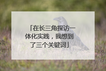 在长三角探访一体化实践，我想到了三个关键词