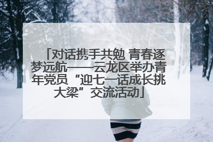 对话携手共勉 青春逐梦远航——云龙区举办青年党员“迎七一话成长挑大梁”交流活动