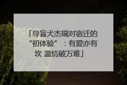 导盲犬杰瑞对宿迁的“初体验”：有爱亦有坎 温情破万难