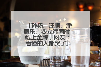 孙杨、汪顺、潘展乐、费立纬同时戴上金牌，网友：看懂的人都哭了