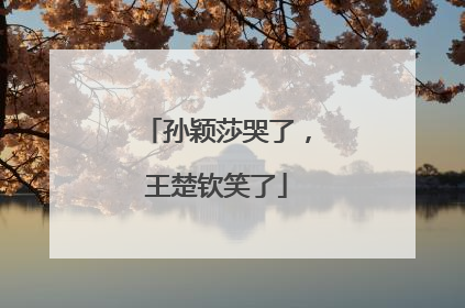 孙颖莎哭了，王楚钦笑了