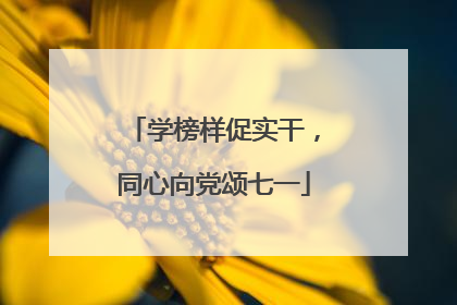 学榜样促实干，同心向党颂七一