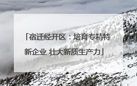宿迁经开区：培育专精特新企业 壮大新质生产力
