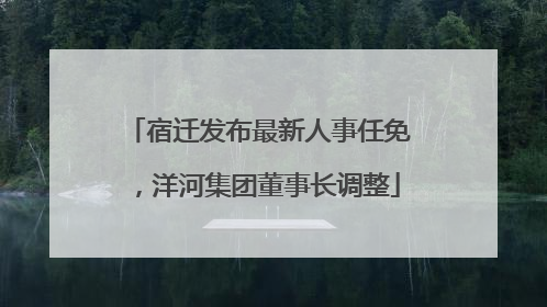 宿迁发布最新人事任免，洋河集团董事长调整