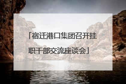宿迁港口集团召开挂职干部交流座谈会