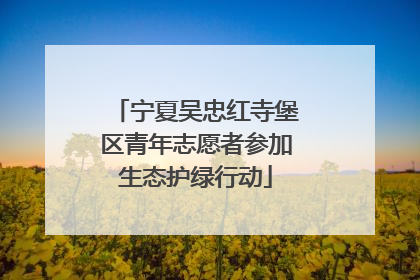宁夏吴忠红寺堡区青年志愿者参加生态护绿行动