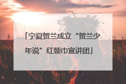 宁夏贺兰成立“贺兰少年说”红领巾宣讲团