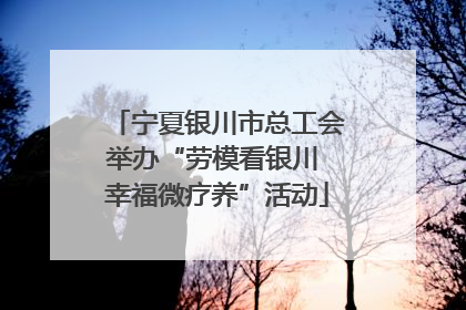 宁夏银川市总工会举办“劳模看银川 幸福微疗养”活动
