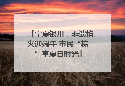 宁夏银川：非遗焰火迎端午 市民“粽”享夏日时光