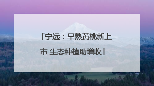 宁远：早熟黄桃新上市 生态种植助增收