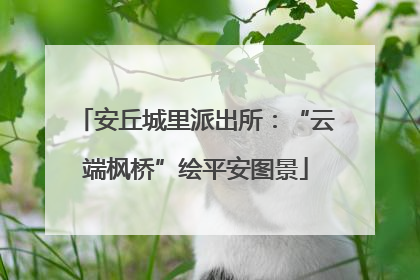 安丘城里派出所：“云端枫桥”绘平安图景