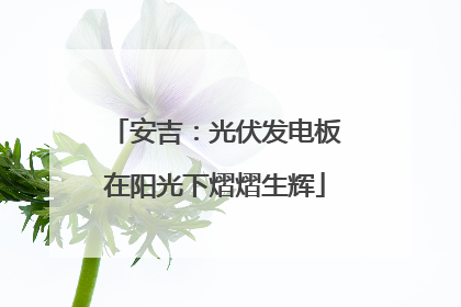 安吉：光伏发电板在阳光下熠熠生辉