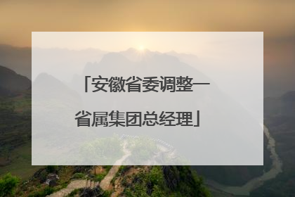 安徽省委调整一省属集团总经理