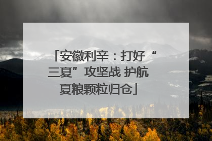 安徽利辛：打好“三夏”攻坚战 护航夏粮颗粒归仓