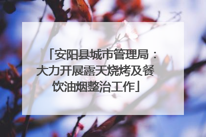 安阳县城市管理局：大力开展露天烧烤及餐饮油烟整治工作