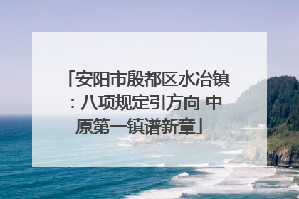 安阳市殷都区水冶镇：八项规定引方向 中原第一镇谱新章