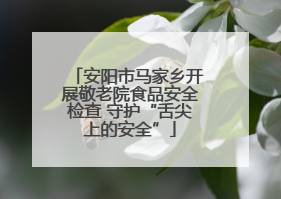 安阳市马家乡开展敬老院食品安全检查 守护“舌尖上的安全”