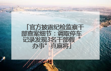 官方披露纪检监察干部查案细节：调取停车记录发现3名干部假“办事”真麻将