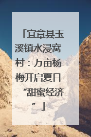 宜章县玉溪镇水浸窝村：万亩杨梅开启夏日“甜蜜经济”