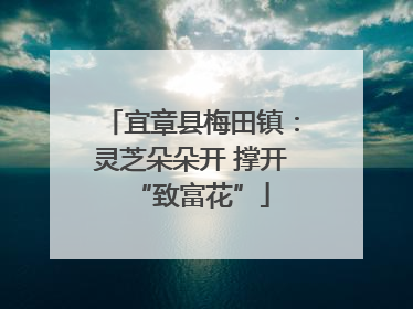 宜章县梅田镇：灵芝朵朵开 撑开“致富花”