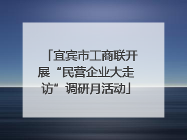 宜宾市工商联开展“民营企业大走访”调研月活动