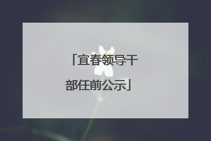 宜春领导干部任前公示