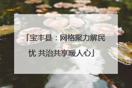宝丰县：网格聚力解民忧 共治共享暖人心