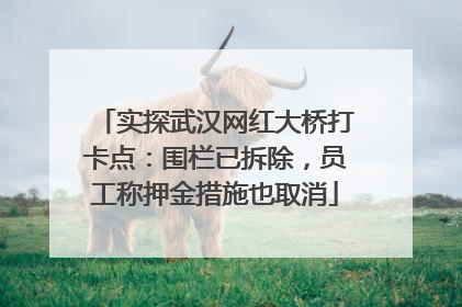 实探武汉网红大桥打卡点：围栏已拆除，员工称押金措施也取消