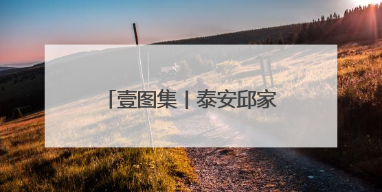 壹图集丨泰安邱家店镇收忙，收割机“穿梭”金色海洋